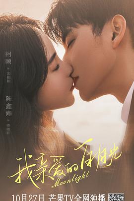 淄川seo网络优化公司